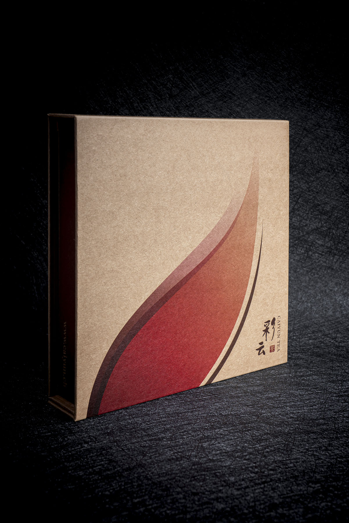 Image Thé blanc en galette de 2008 DE FUDING 福鼎白茶