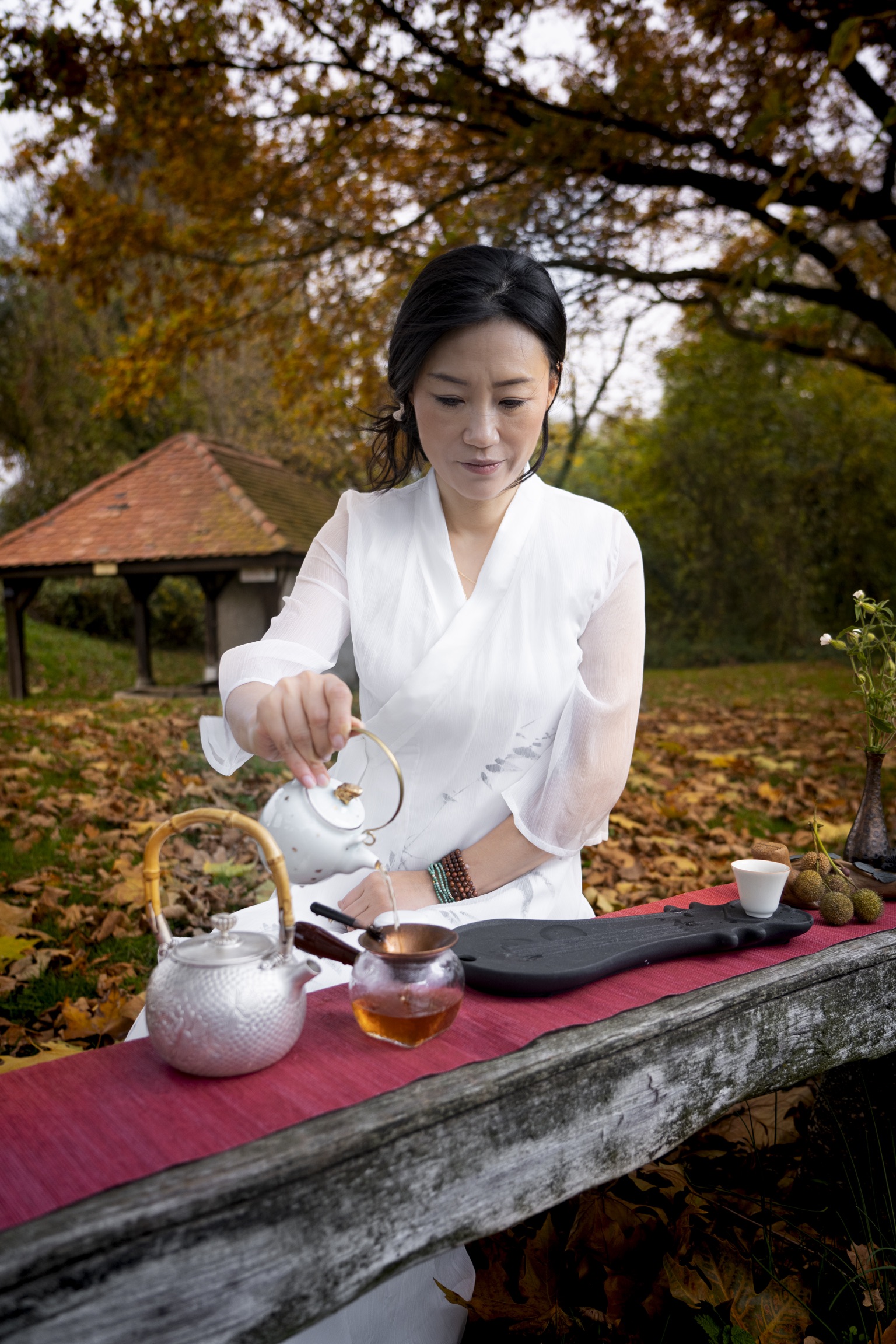 Bannière Lu Yu - Histoire du thé